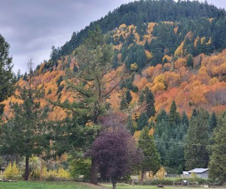Sharps Creek Recreation Site
