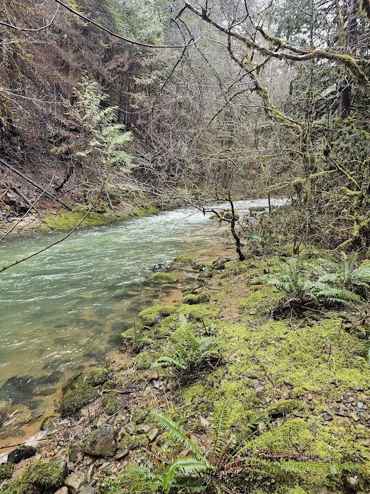 Sharps Creek Recreation Site Picture 3