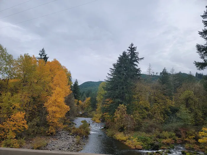 Sharps Creek Recreation Site Picture 2