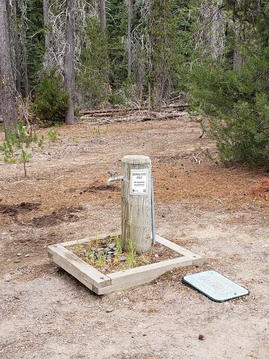 Whitefish Horse Camp Picture 9