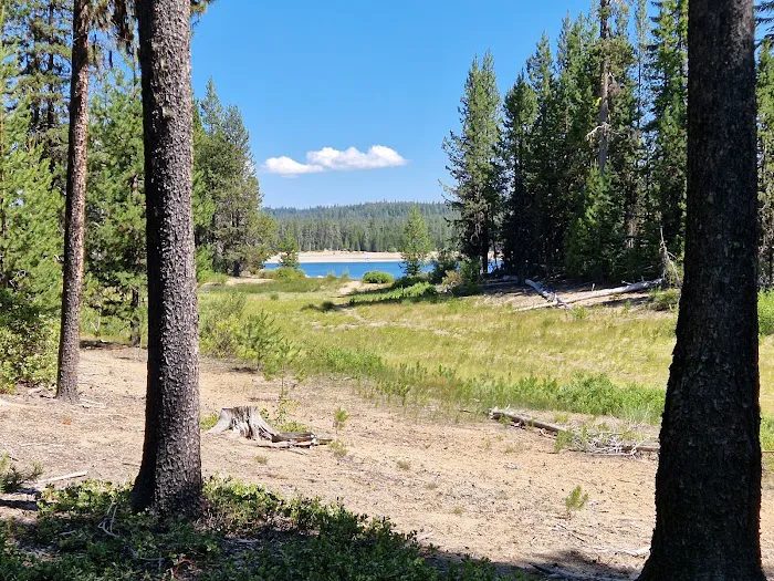 Whitefish Horse Camp Picture 6