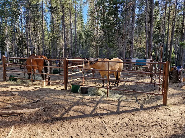 Whitefish Horse Camp Picture 8