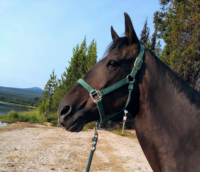 Whitefish Horse Camp Picture 1