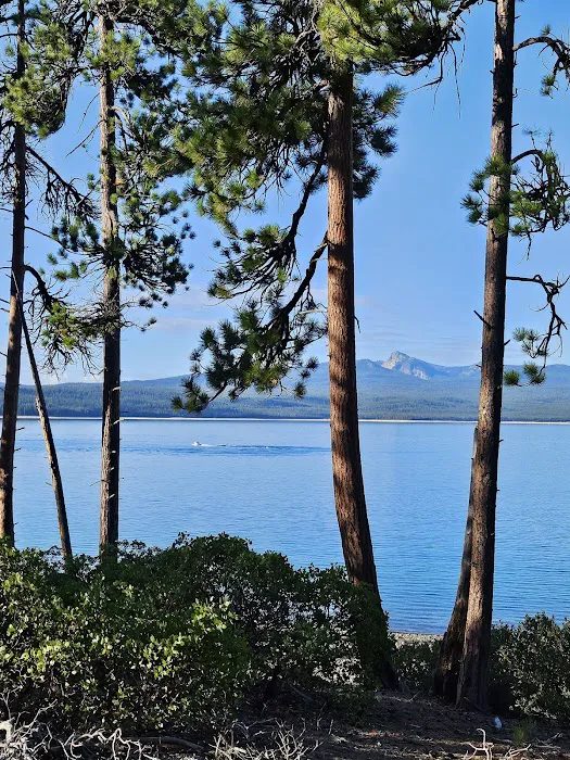 Simax Group Campground Picture 1