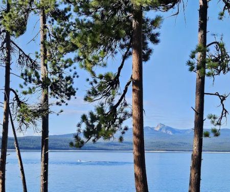 Simax Group Campground