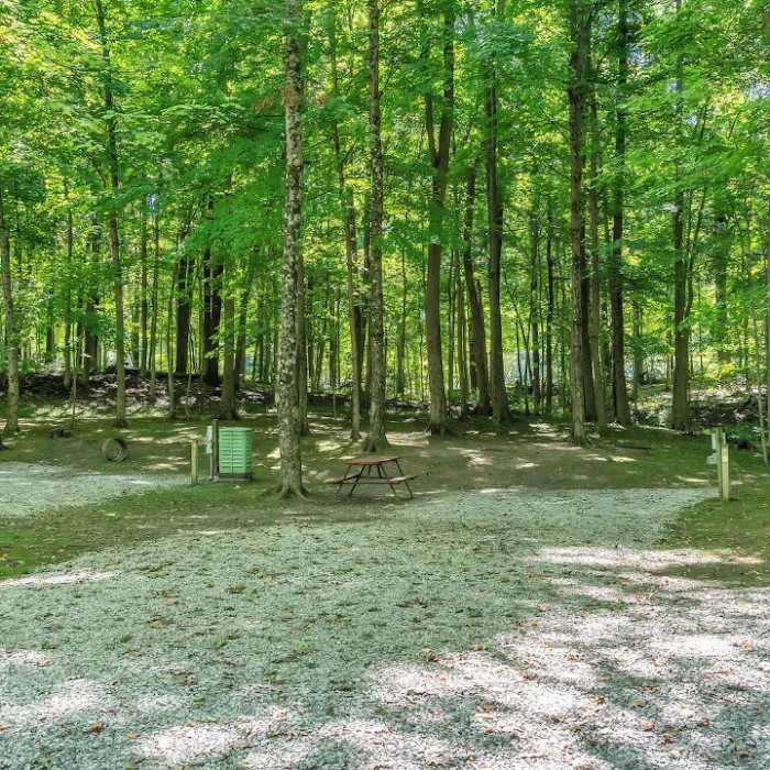 Yogi Bear's Jellystone Park at Columbus North Picture 9