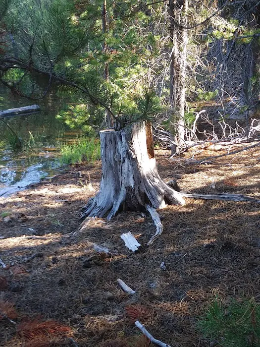 Spring Campground Picture 10