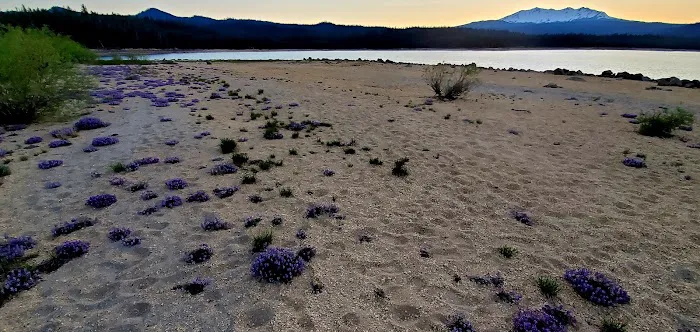 Spring Campground Picture 3