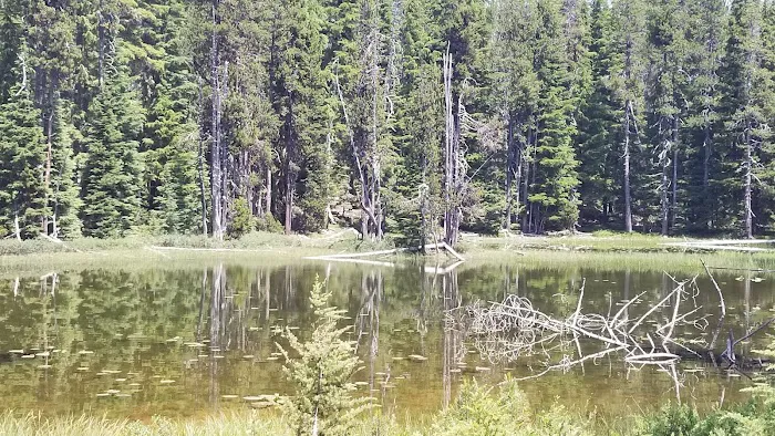 Summit Lake Campground Picture 5