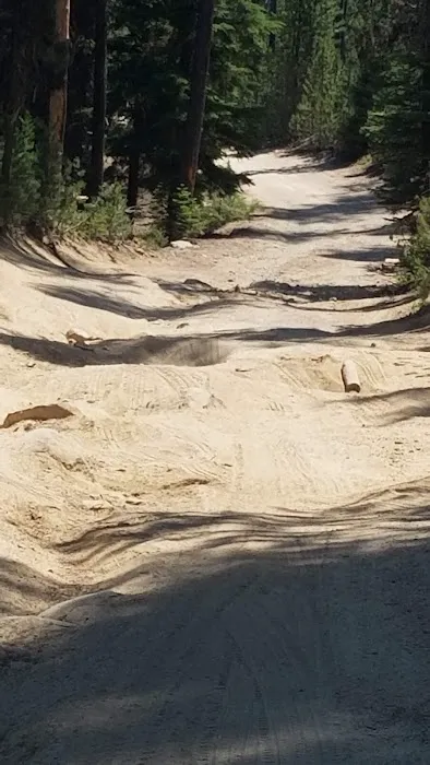 Summit Lake Campground Picture 1