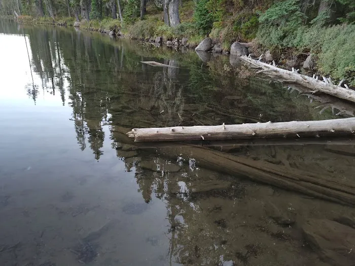 Summit Lake Campground Picture 7