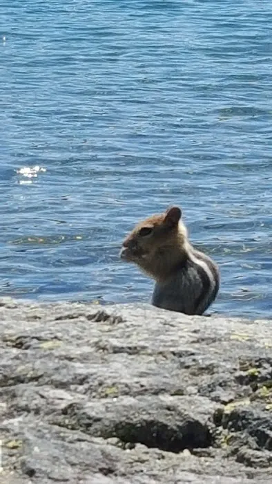 Summit Lake Campground Picture 9