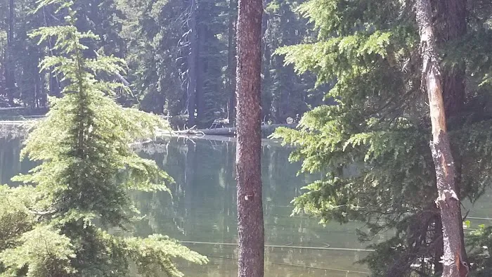 Summit Lake Campground Picture 4