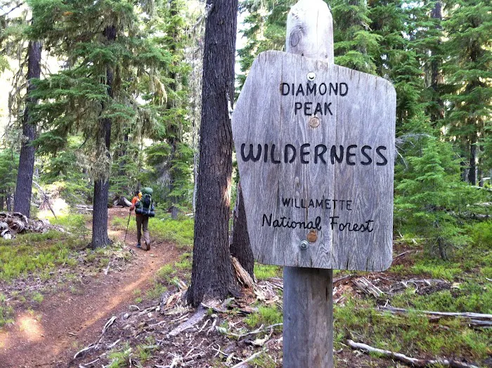 Summit Lake Campground Picture 8