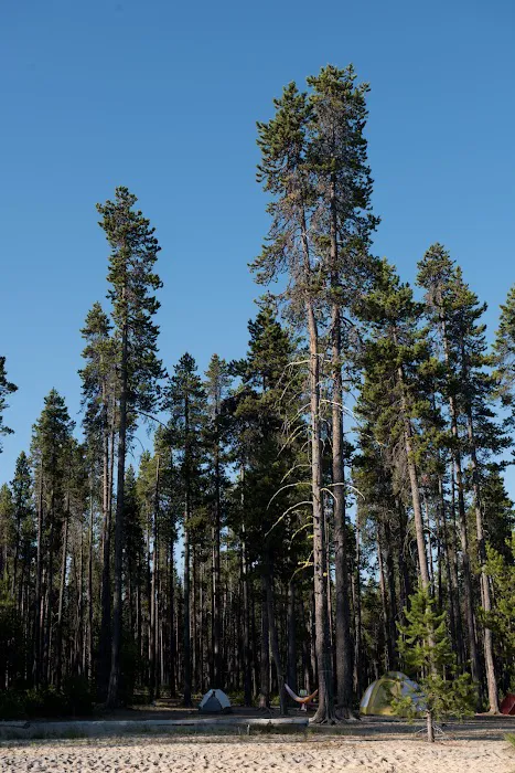 Contorta Flat Campground Picture 7