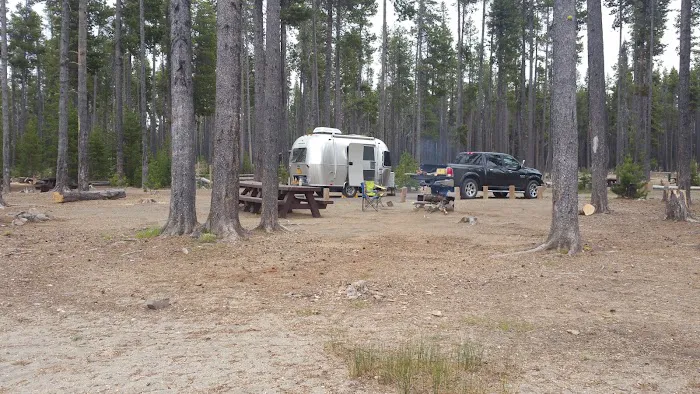 Contorta Flat Campground Picture 8