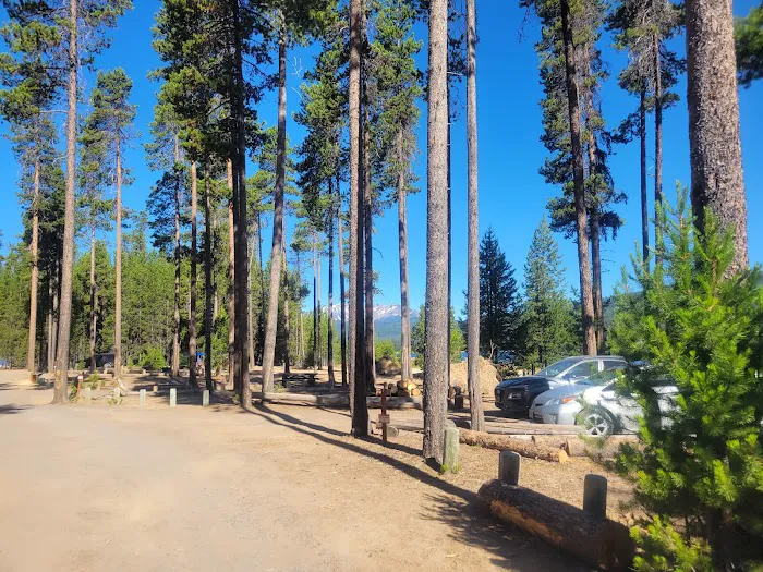 Contorta Flat Campground Picture 5