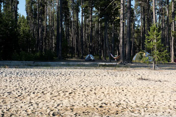 Contorta Flat Campground Picture 9