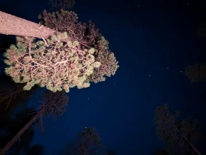 Contorta Point Campground Picture 6