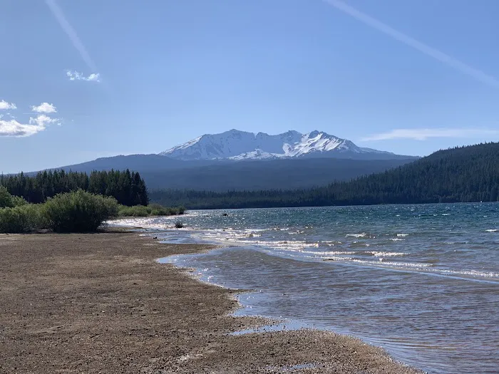 Contorta Point Campground Picture 8