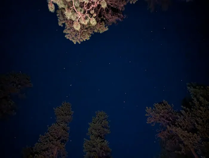 Contorta Point Campground Picture 5