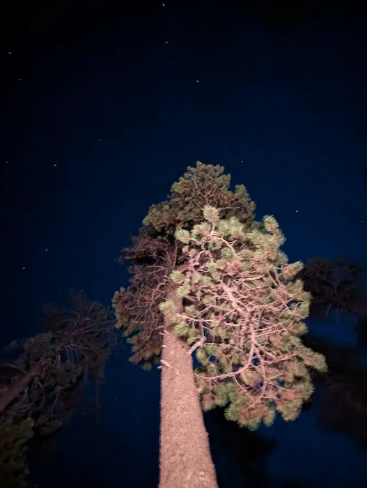 Contorta Point Campground Picture 2