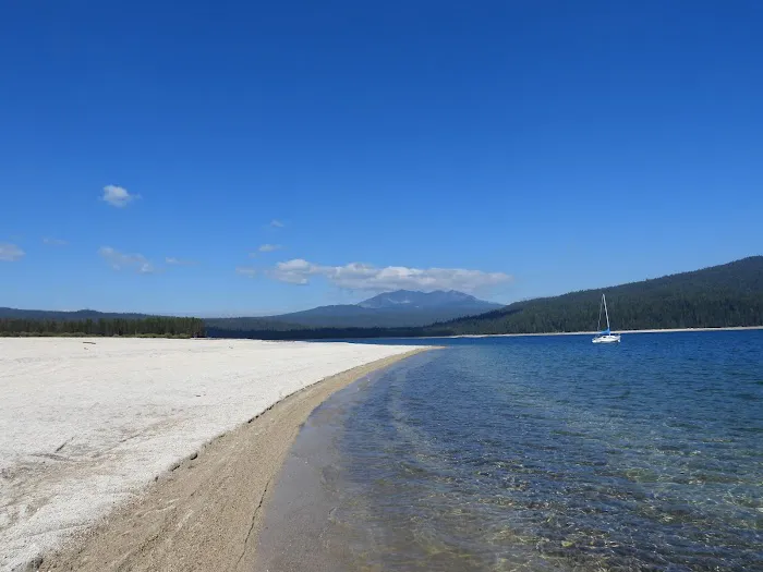 Contorta Point Campground Picture 7