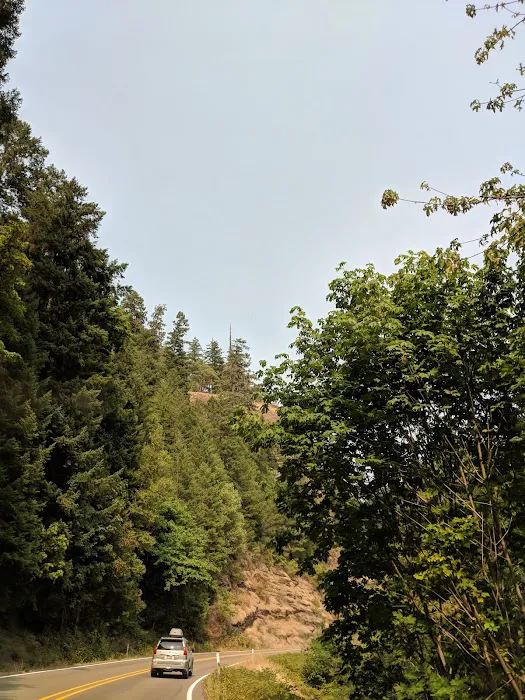 Bunker Hill Campground Picture 8