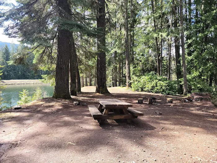 Lemolo #2 Forebay Forest Camp Picture 10