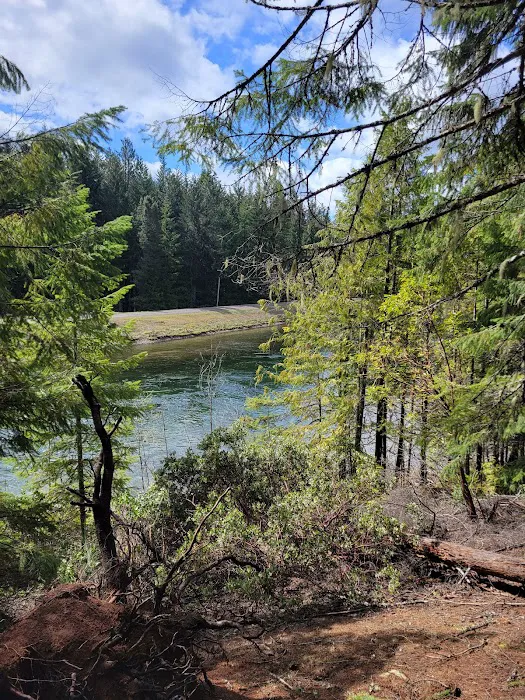 Lemolo #2 Forebay Forest Camp Picture 8