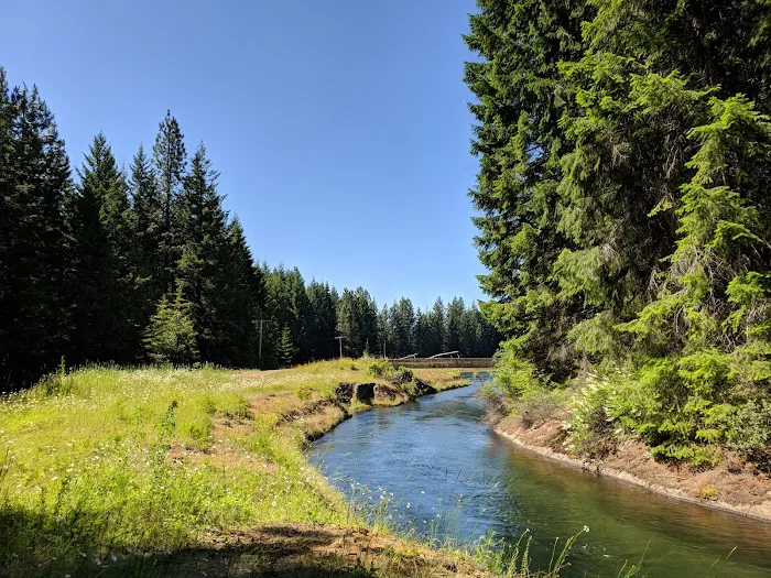 Lemolo #2 Forebay Forest Camp Picture 4