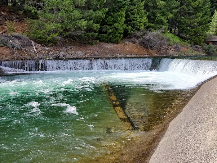 Lemolo #2 Forebay Forest Camp Picture 5