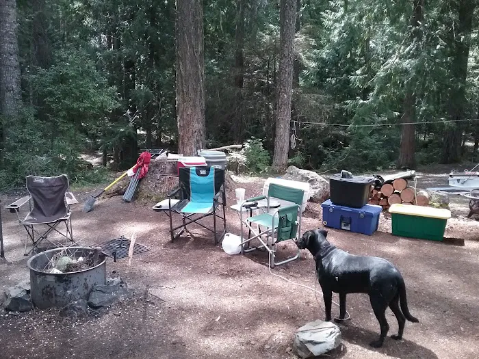 Lemolo #2 Forebay Forest Camp Picture 6