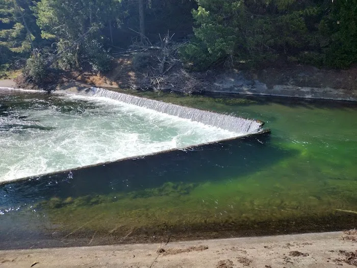 Lemolo #2 Forebay Forest Camp Picture 7