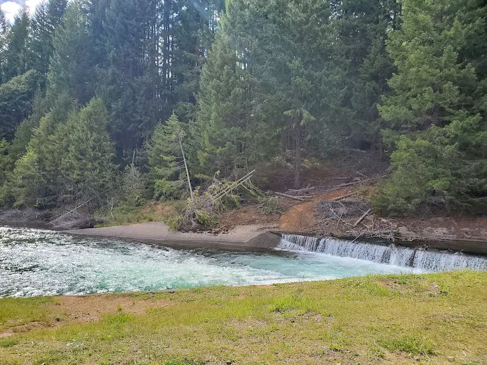 Lemolo #2 Forebay Forest Camp Picture 3