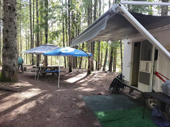 Lemolo #2 Forebay Forest Camp Picture 1