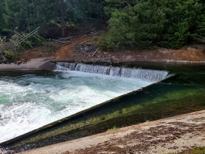 Lemolo #2 Forebay Forest Camp Picture 2