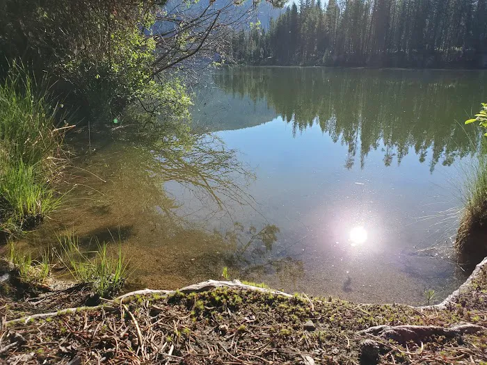 Poole Creek Campground Picture 7