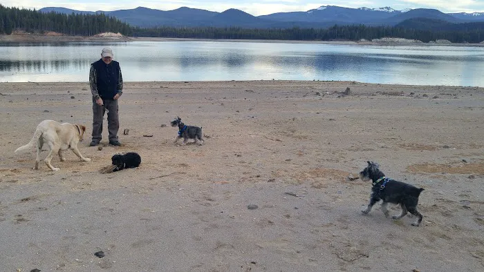 Poole Creek Campground Picture 9