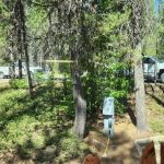 Poole Creek Campground