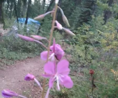 East Lemolo Campground