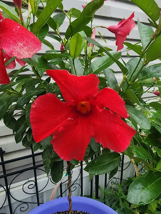 Rainbow Mobile Home Park Picture 1