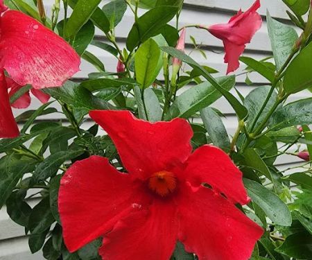 Rainbow Mobile Home Park