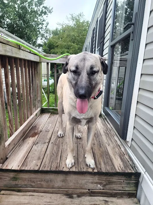 Rainbow Mobile Home Park Picture 3