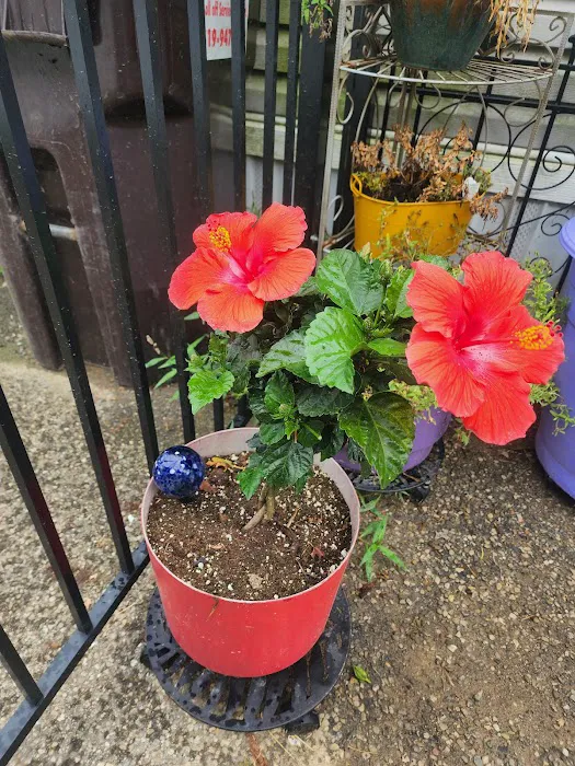 Rainbow Mobile Home Park Picture 4