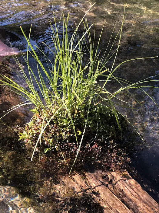 Inlet Campground Picture 7