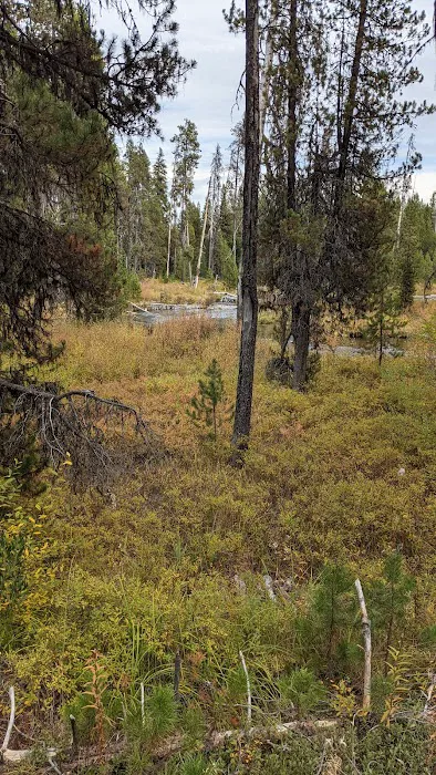 Inlet Campground Picture 9