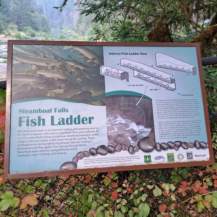 Steamboat Falls Campground Picture 5