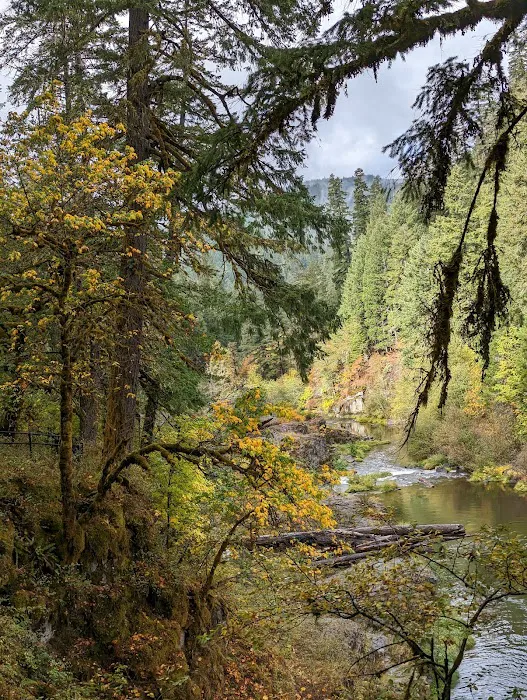Steamboat Falls Campground Picture 10