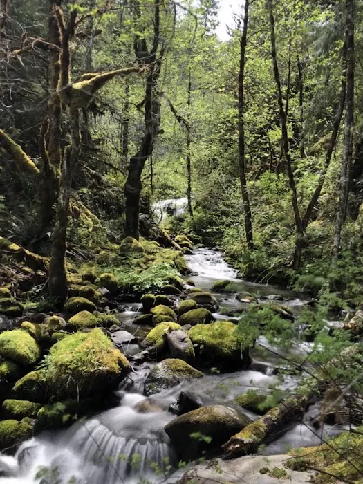 Steamboat Falls Campground Picture 4